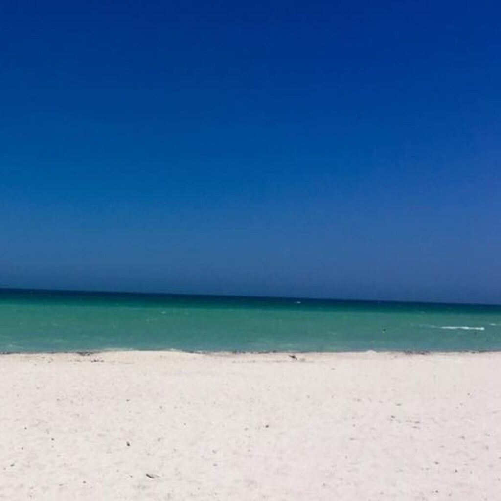 Porta ou Praia 4